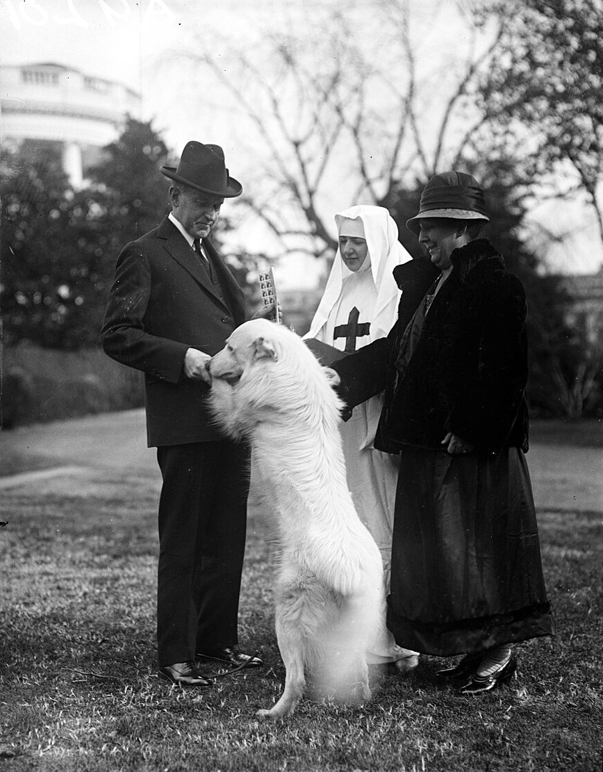 A man in a dark suit and hat reaches toward a large white dog standing on its hind legs, while a nurse in a white veil and a woman in a dark coat stand beside them on a lawn, with a curved white building behind.