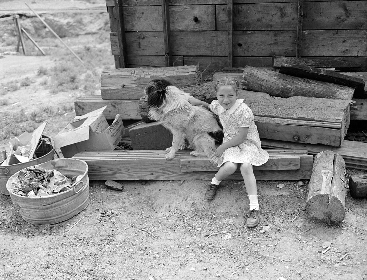 A smiling girl in a light dress sits on a pile of lumber with a hand on a shaggy black, white and tan dog, with a washtub of scraps and a wooden shed wall behind them.