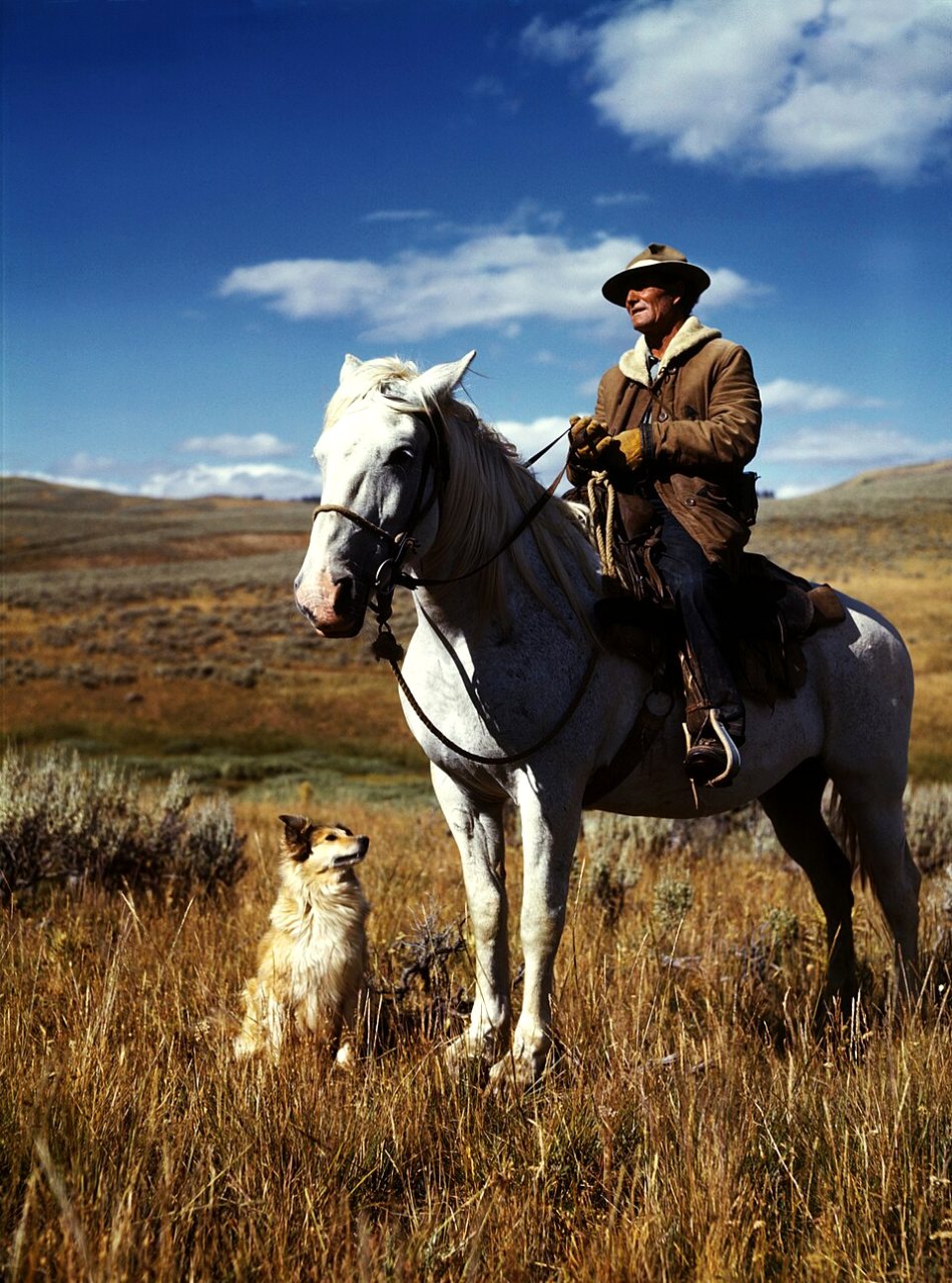 A man in a sheepskin-collared coat and wide-brimmed hat sits on a gray horse in tall golden grass under a deep blue sky, with a small tan and white dog at the horse's feet.