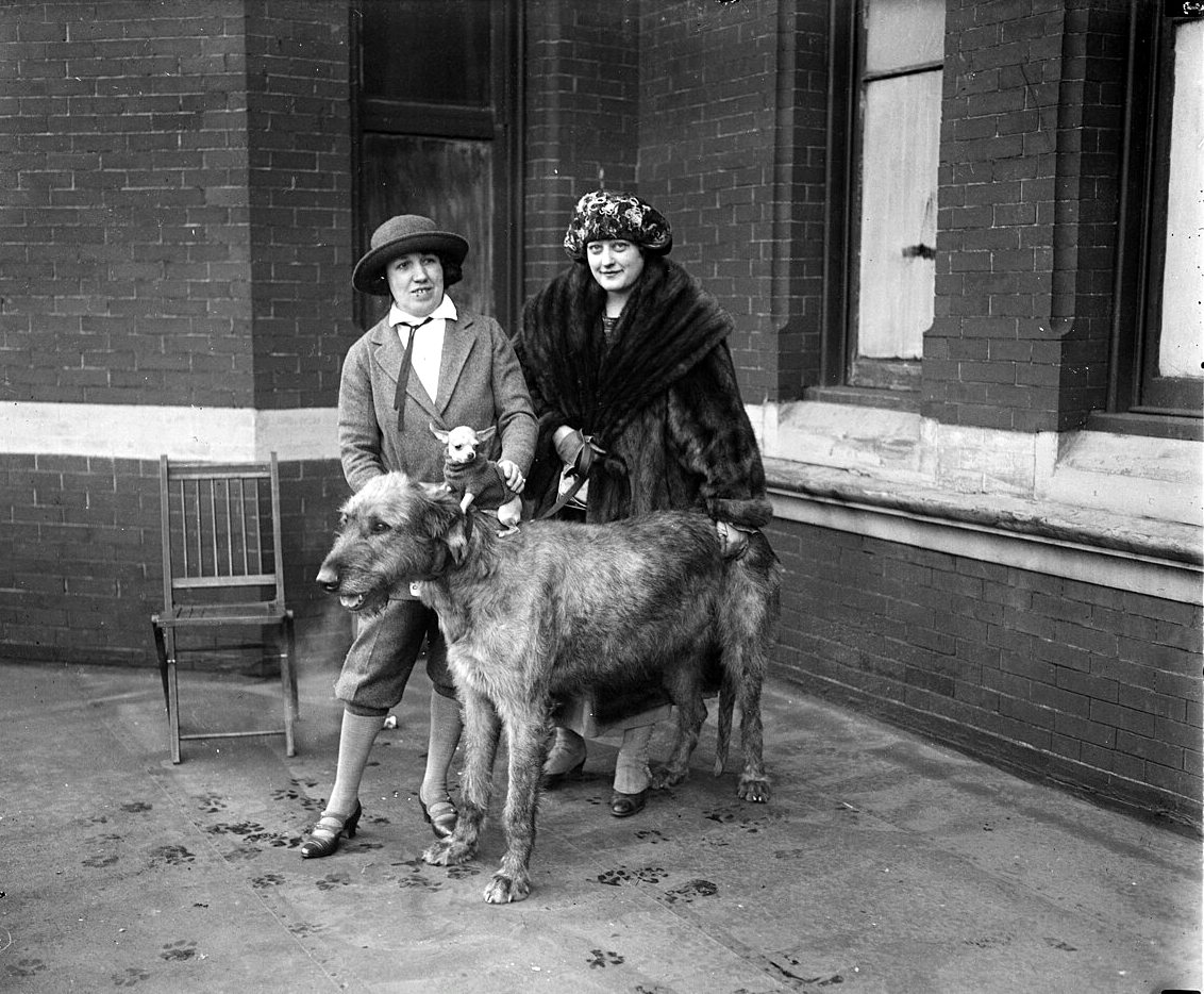 Two women in hats stand on a brick porch behind a tall, rough-coated dog, and a tiny dog in a sweater is held up beside the woman at left.