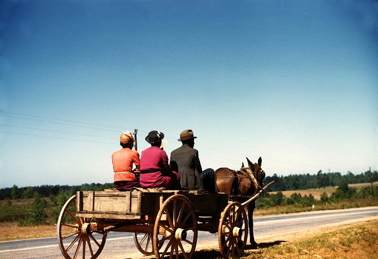 Three people seen from behind ride a wooden farm wagon pulled by a mule along a road under a clear blue sky.