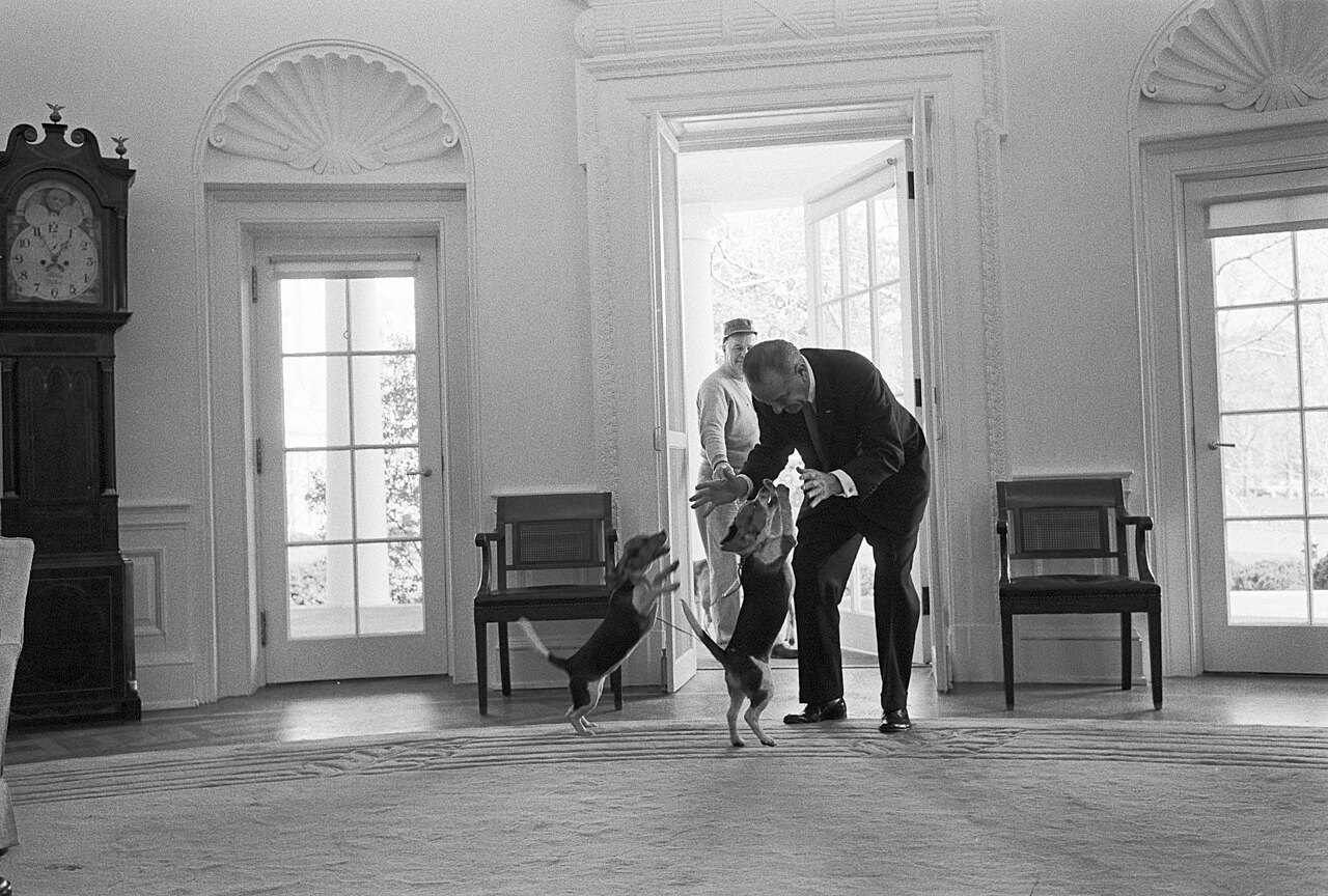 President Johnson in a dark suit bends down toward two beagles on the carpet of an office, with a grandfather clock and open glass doors behind him.