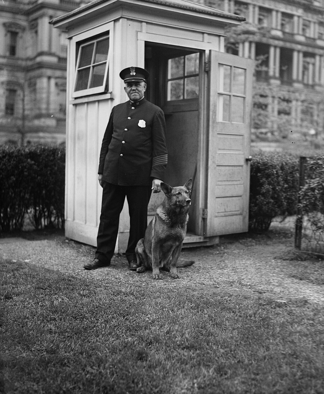 A uniformed police officer stands beside a white wooden sentry box with a large dog sitting at his side on the grass, and a stone government building behind them.