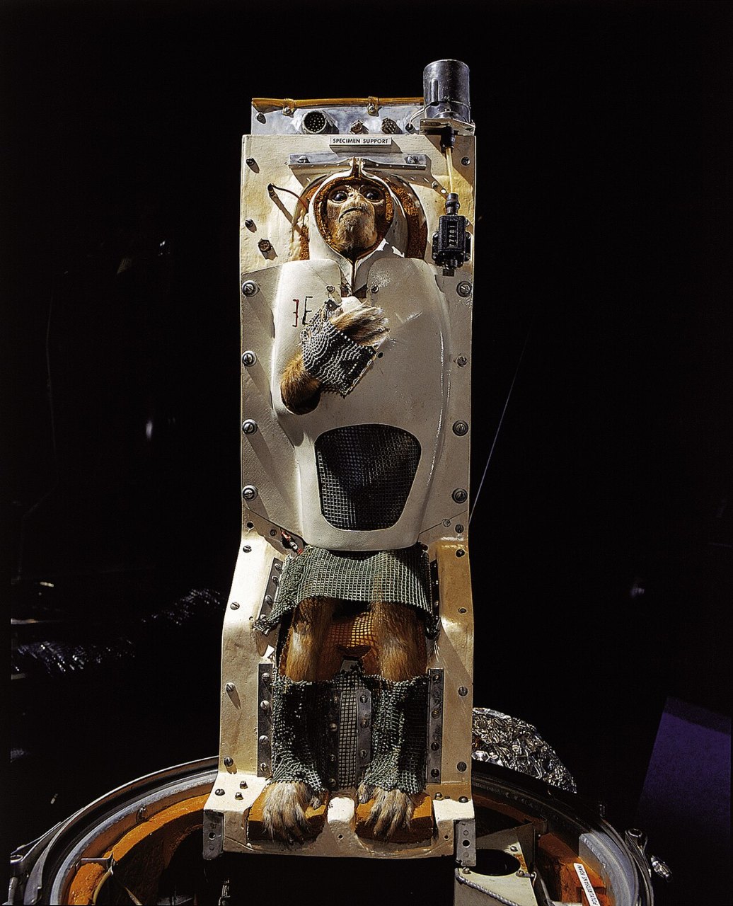 A small monkey figure sits strapped into a metal flight couch inside an open capsule, lit against a black background.
